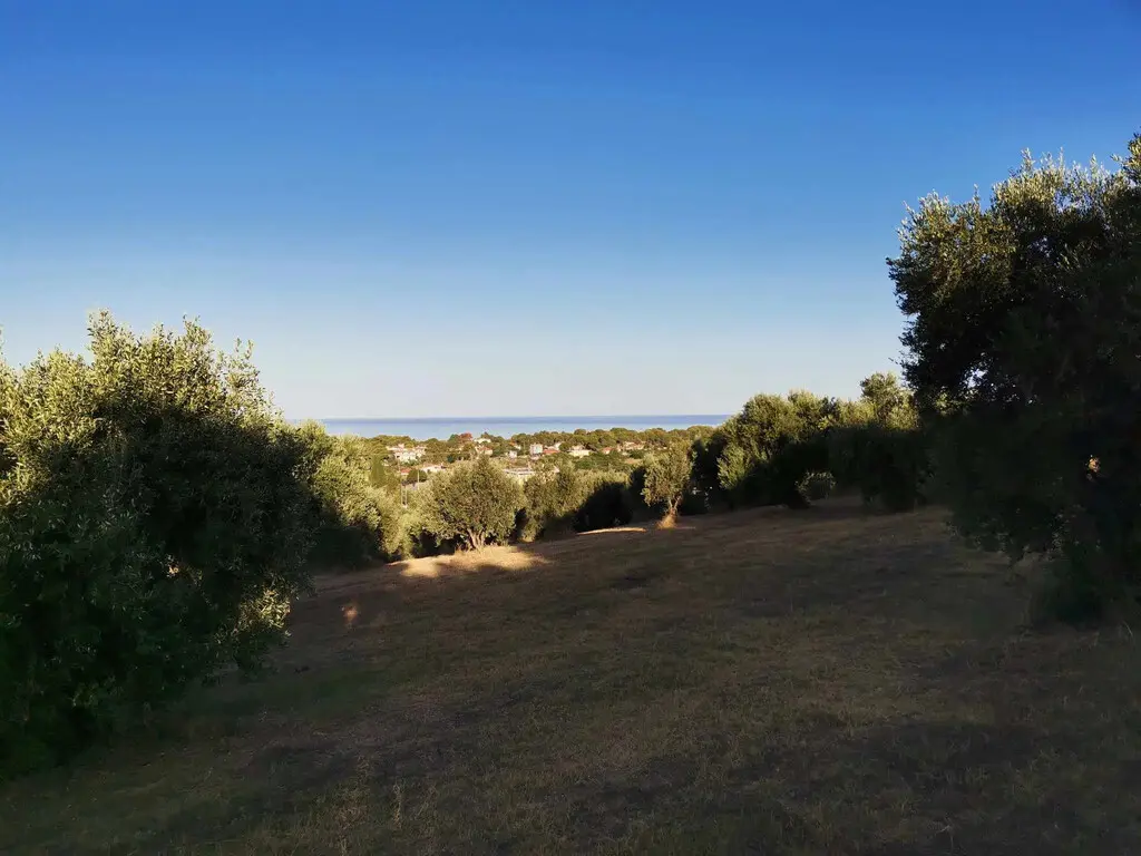 Land Of 6253 M² In Peloponnese