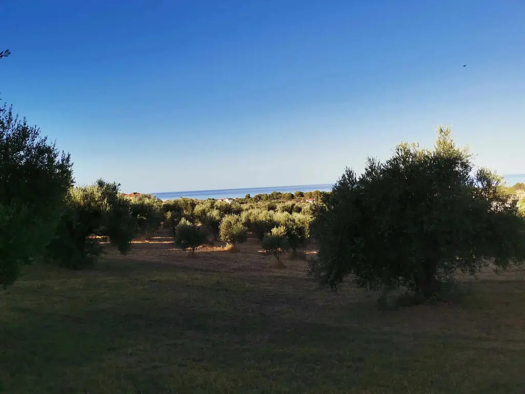 Land Of 6253 M² In Peloponnese