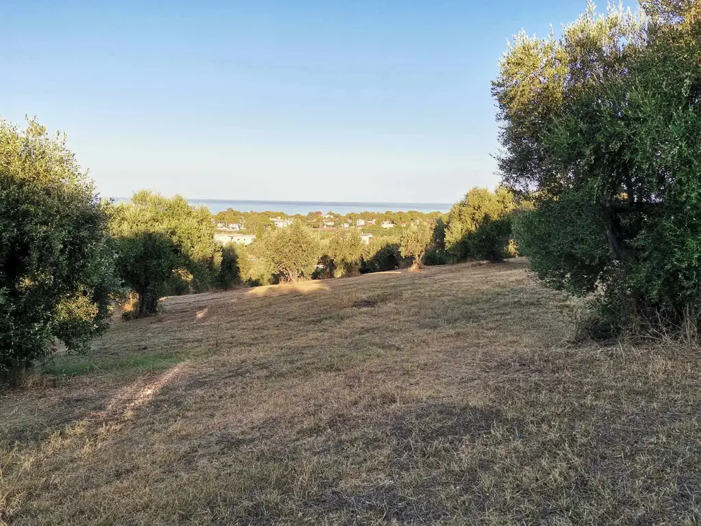 Land Of 6253 M² In Peloponnese