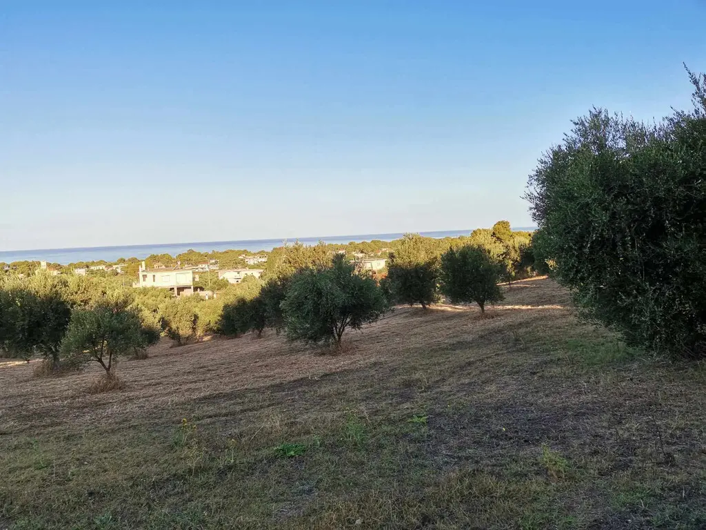 Land Of 6253 M² In Peloponnese