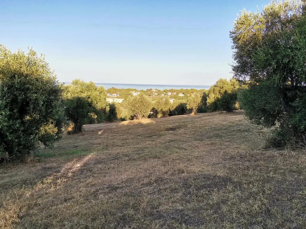 Land Of 6253 M² In Peloponnese