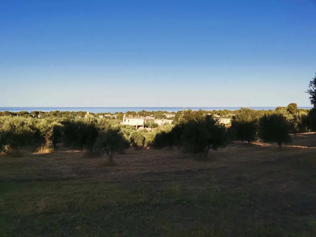 Land Of 6253 M² In Peloponnese