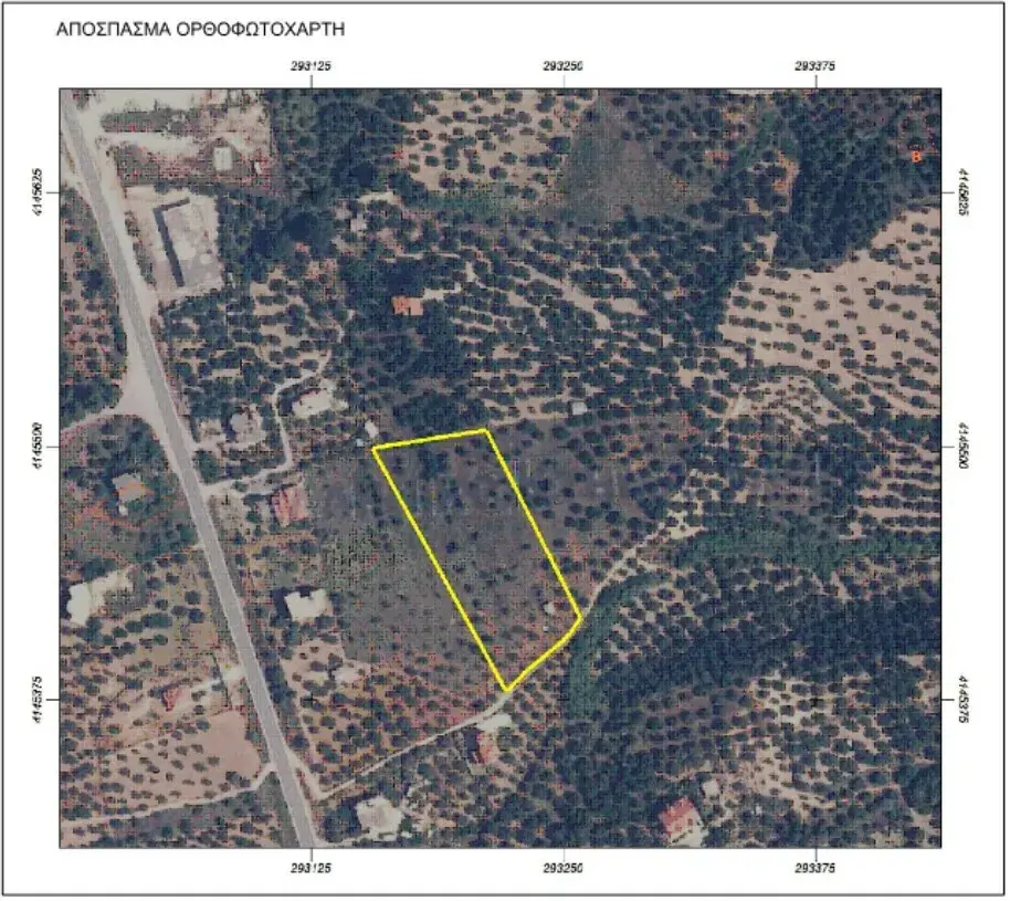 Land Of 6253 M² In Peloponnese