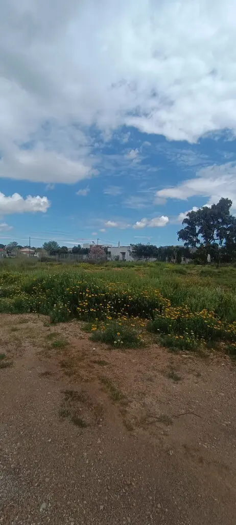 Land Of 768 M² In Athens