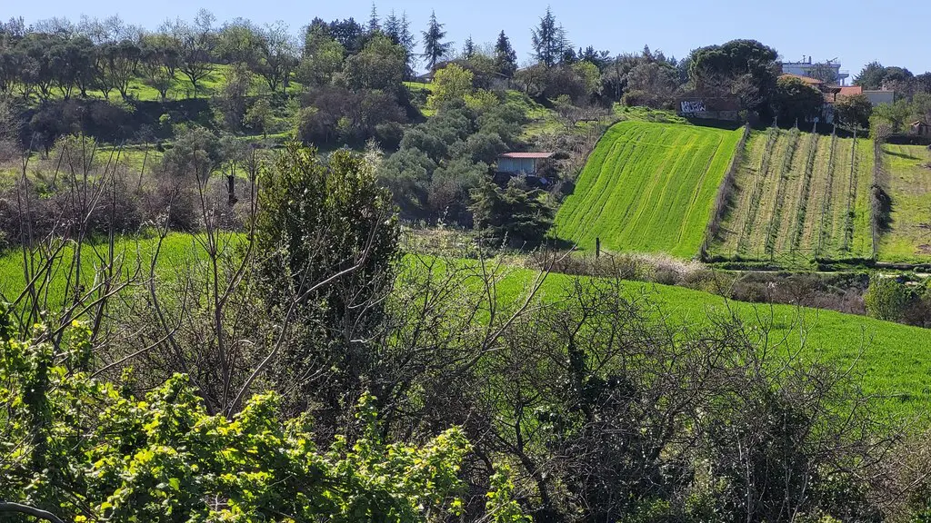 Land Of 4625 M² In The Suburbs Of Thessaloniki
