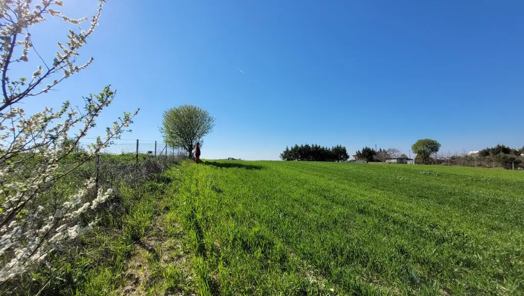 Land Of 7311 M² In The Suburbs Of Thessaloniki
