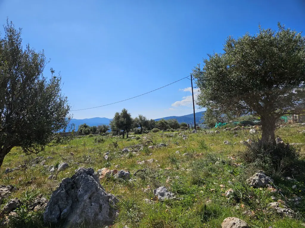 Land Of 2454 M² In Crete