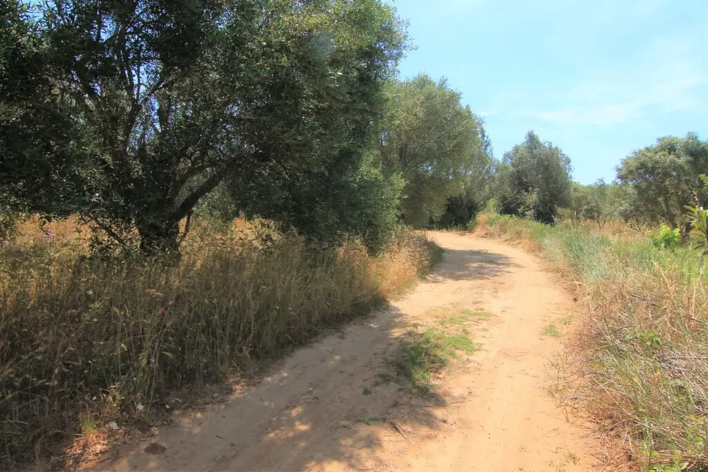 Land Of 5000 M² In Corfu