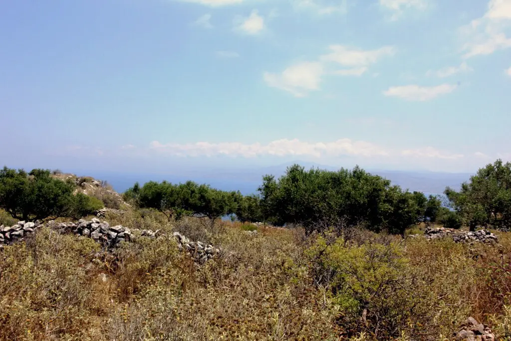 Land Of 4500 M² In Crete