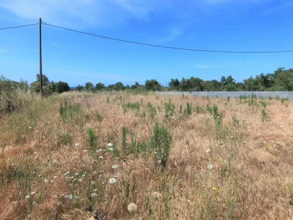 Land Of 10000 M² In Corfu