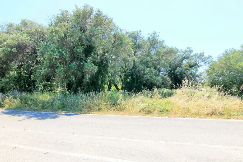 Land Of 2000 M² In Corfu