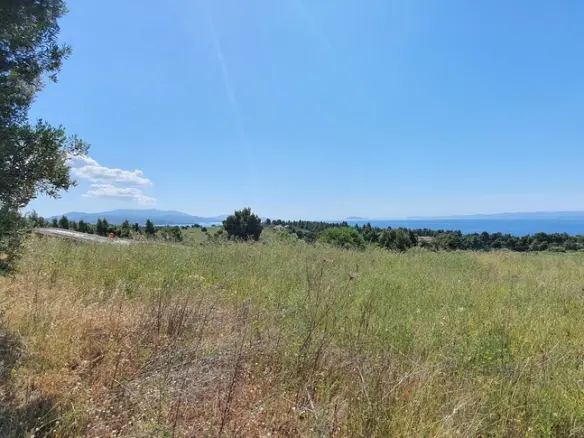 Land In Sithonia, Greece