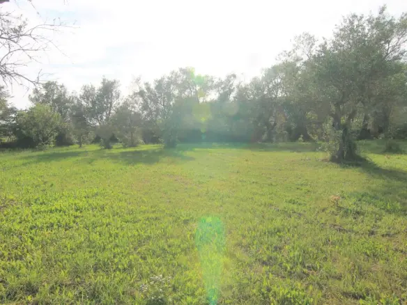 Land Of 4188 M² In Corfu