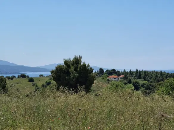 Land In Sithonia, Greece