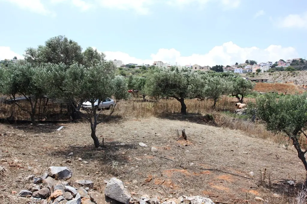 Land Of 4500 M² In Crete