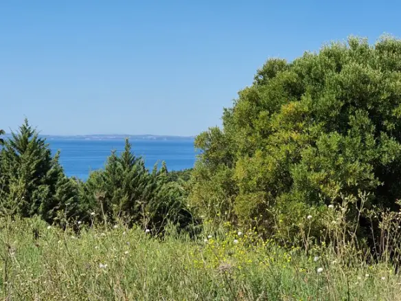 Land Of 4000 M² In Sithonia, Chalkidiki