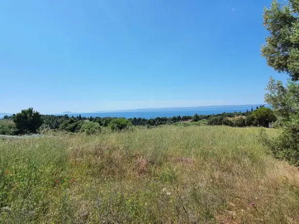 Land In Sithonia, Greece