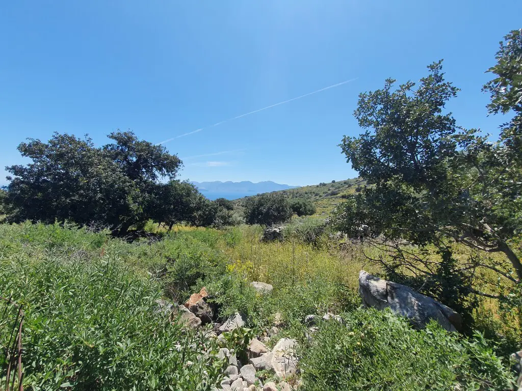 Land Of 7857 M² In Crete