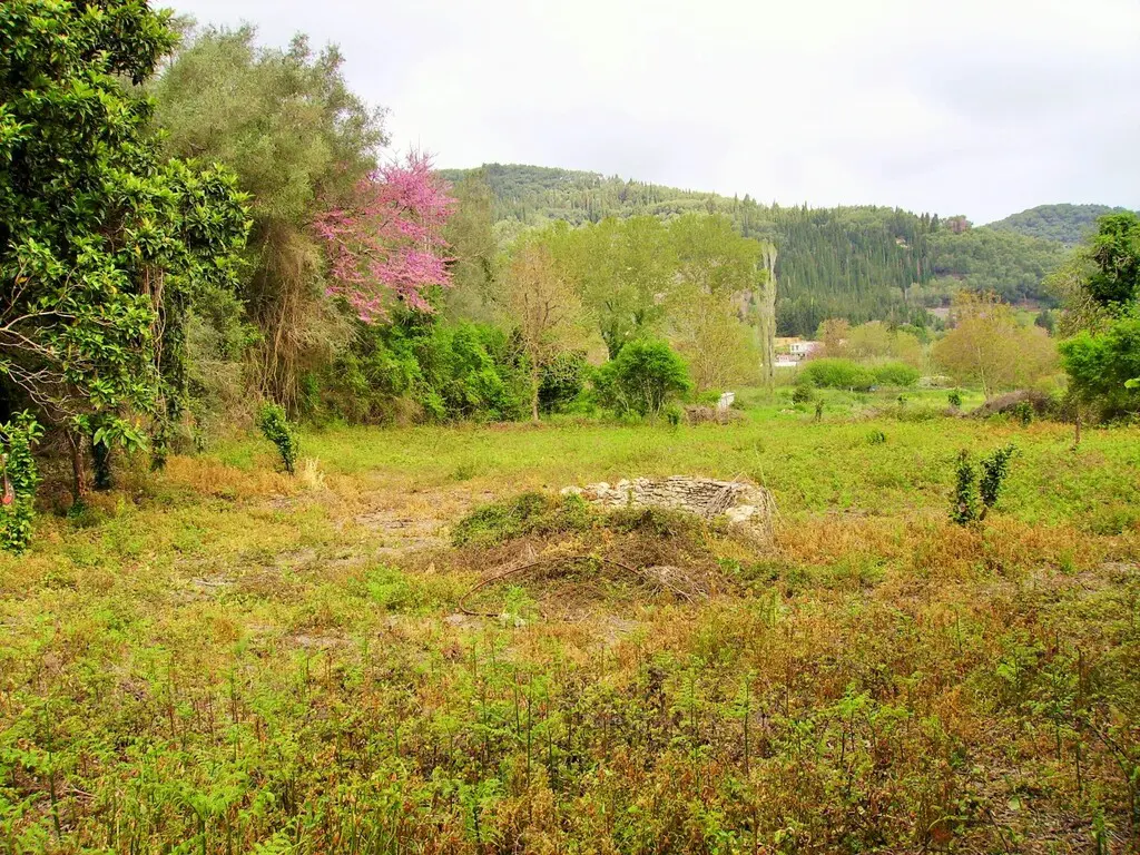 Land Of 14460 M² In Corfu