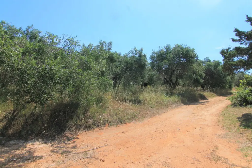 Land Of 5000 M² In Corfu