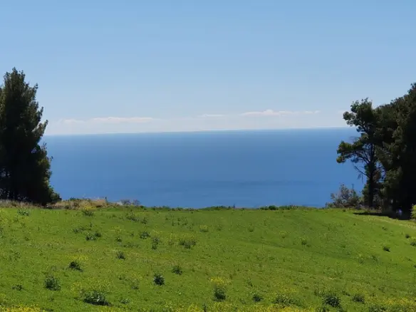 Land In Kassandra, Greece
