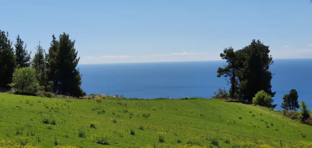 Land Of 11000 M² In Kassandra, Chalkidiki