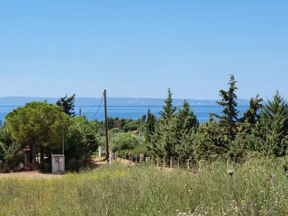Land In Sithonia, Greece