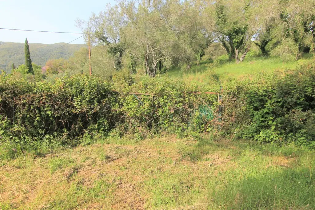 Land Of 2000 M² In Corfu