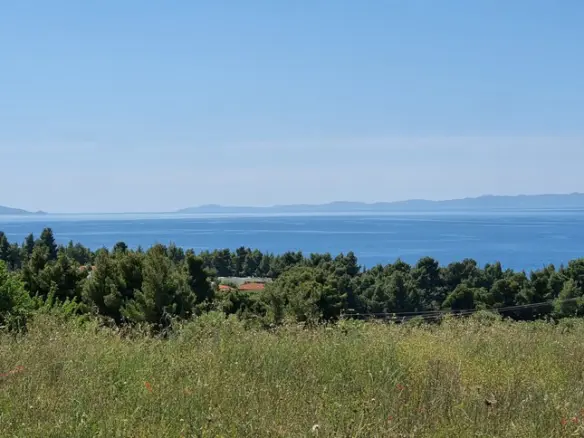 Land In Sithonia, Greece
