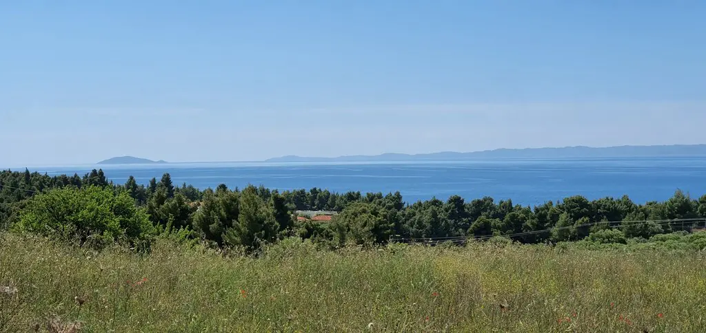 Land Of 4000 M² In Sithonia, Chalkidiki