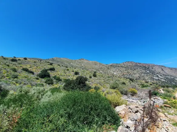Land In Neapoli, Greece