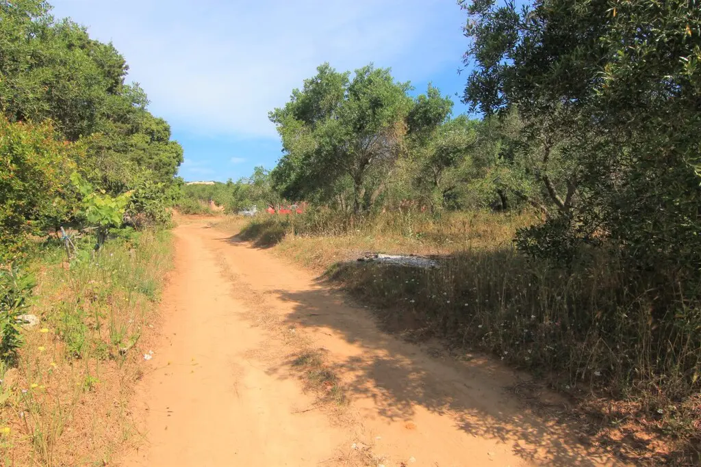 Land Of 5000 M² In Corfu