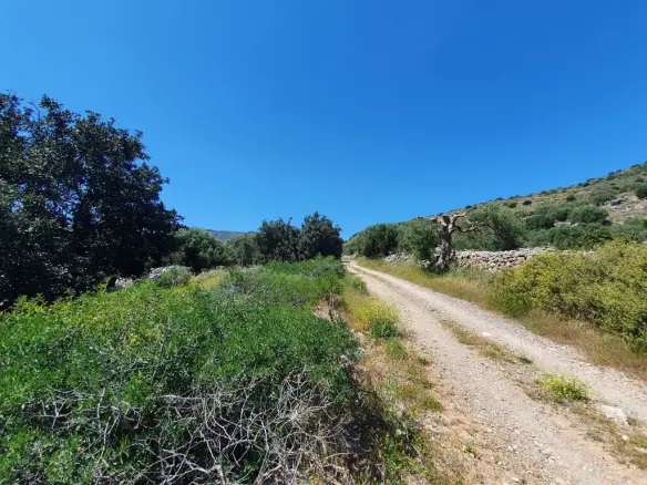 Land In Agios Nikolaos, Greece