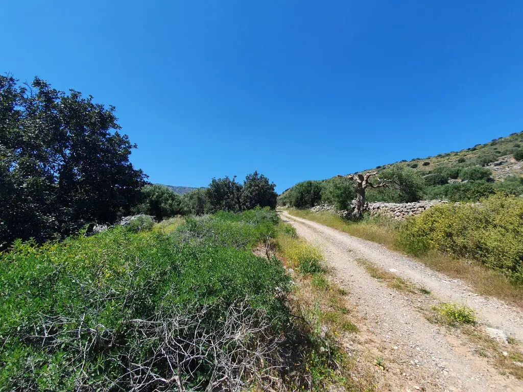 Land Of 7857 M² In Crete