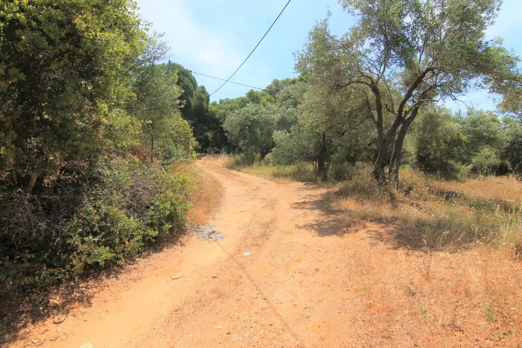 Land Of 5000 M² In Corfu
