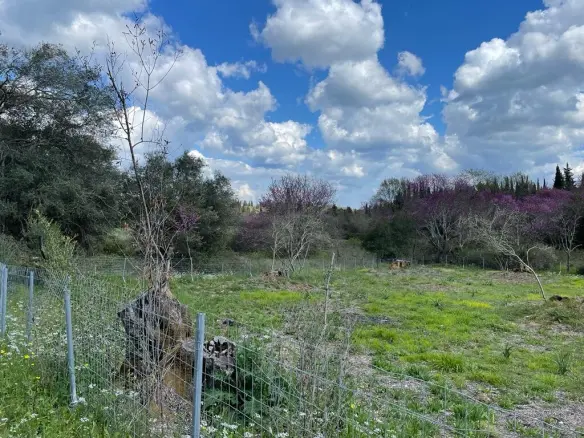 Land Of 1460 M² In Corfu