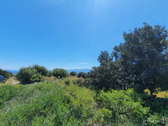 Land Of 7857 M² In Crete