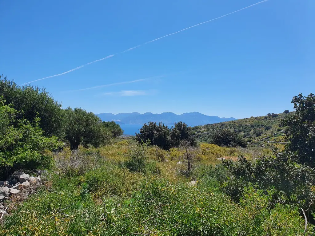Land Of 7857 M² In Crete