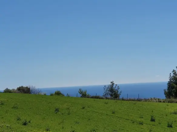 Land Of 11000 M² In Kassandra, Chalkidiki