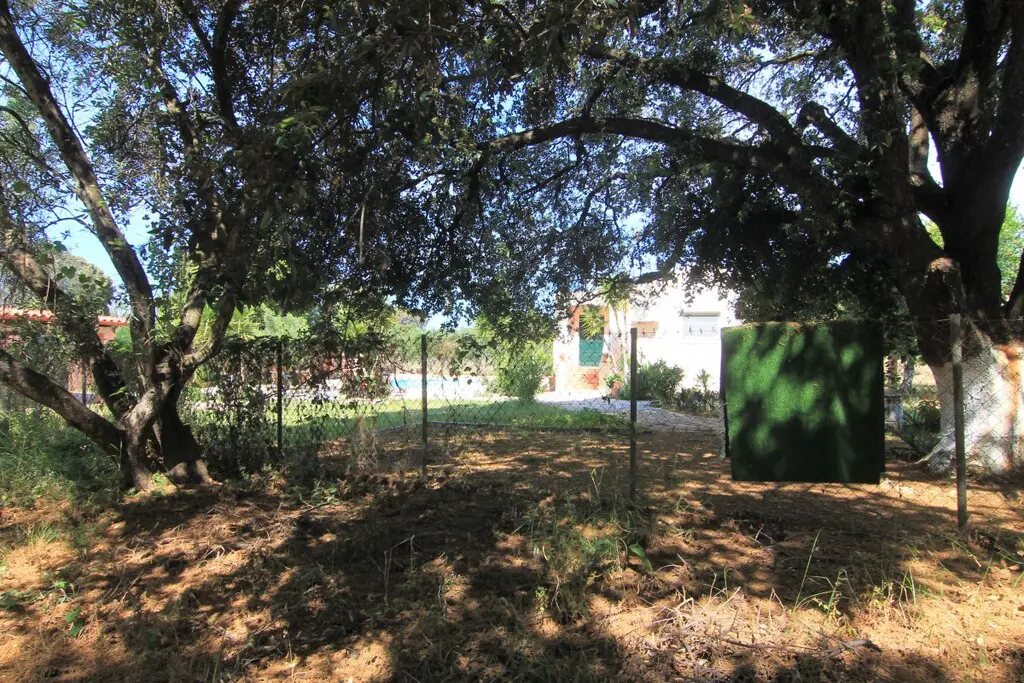 Land Of 5000 M² In Corfu