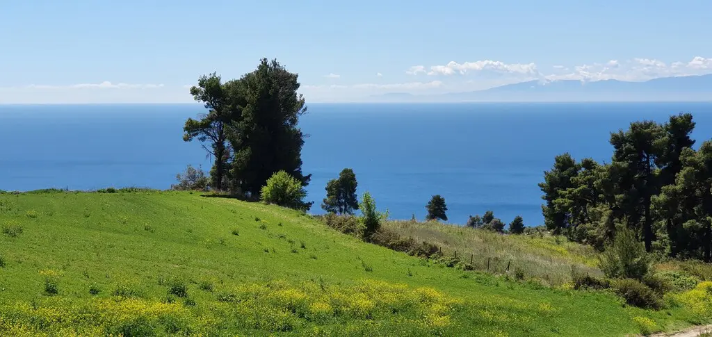 Land Of 11000 M² In Kassandra, Chalkidiki