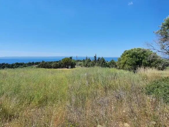 Land In Sithonia, Greece