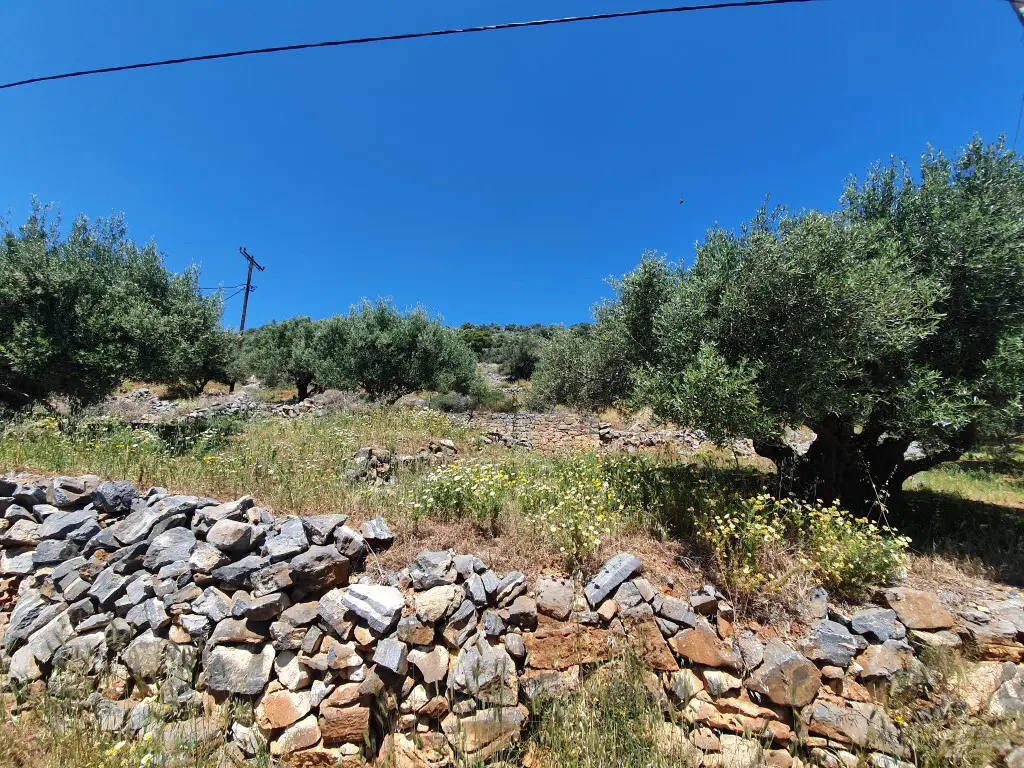 Land Of 1285 M² In Crete