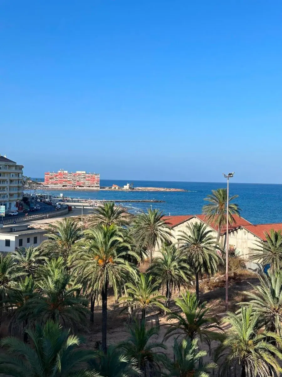 Apartment Of 64 M² In Torrevieja, Spain