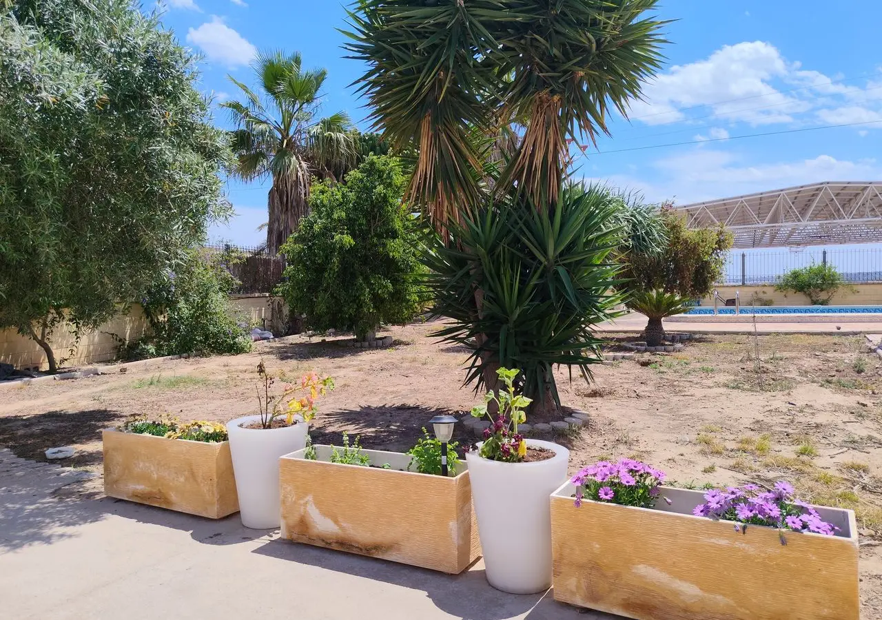 Villa Of 347 M² In Los Montesinos, Spain