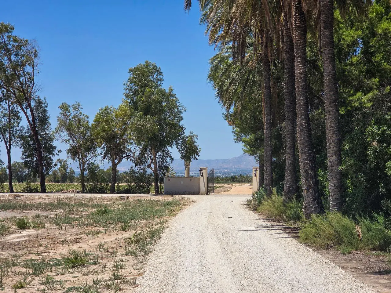 Villa Of 285 M² In Elche, Spain