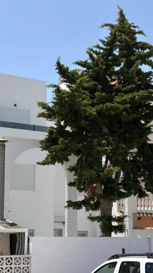 House Of 70 M² In Torrevieja, Spain