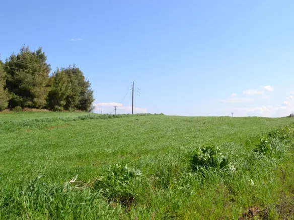 Land Of 3330 M² In Kassandra, Chalkidiki