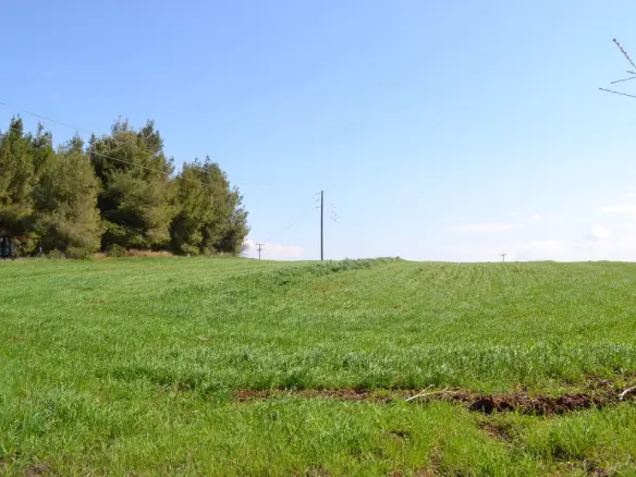 Land In Kassandra, Greece