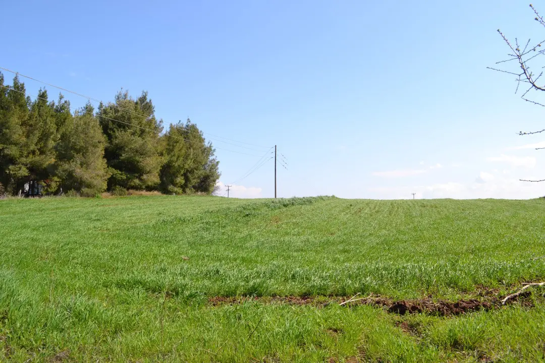 Land Of 3330 M² In Kassandra, Chalkidiki